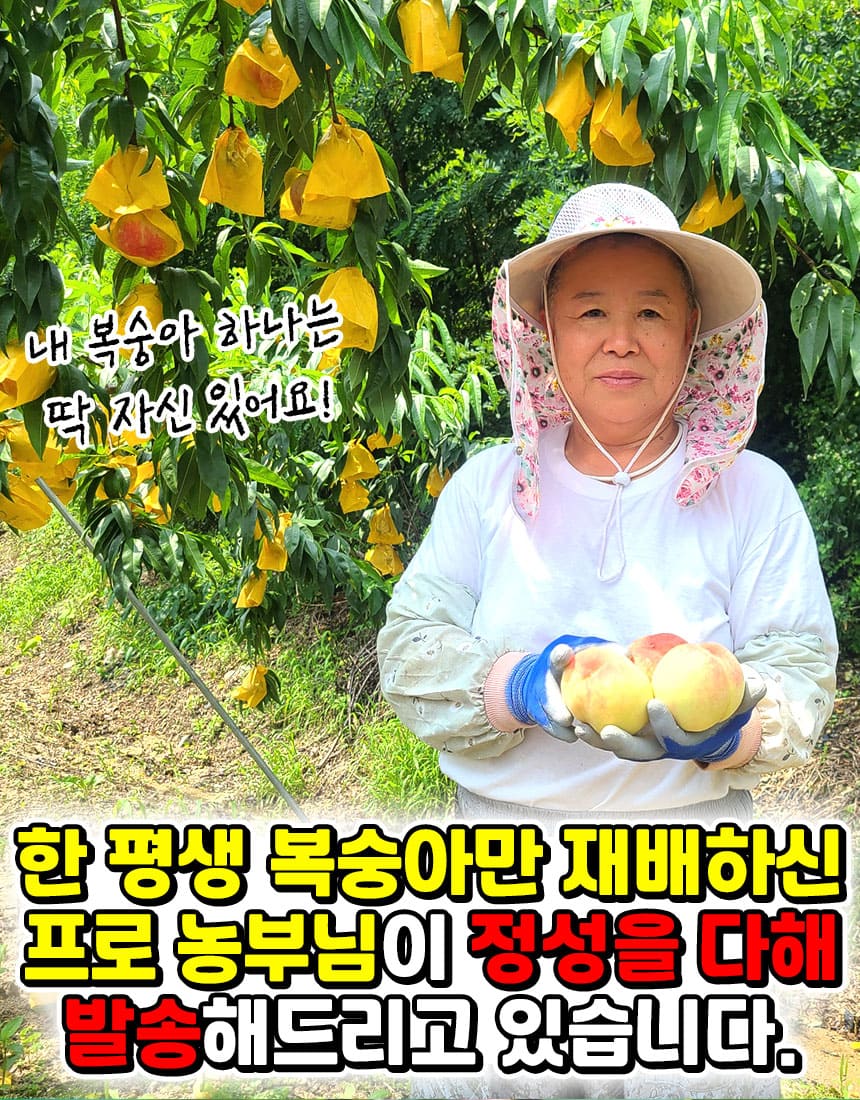 상품정보