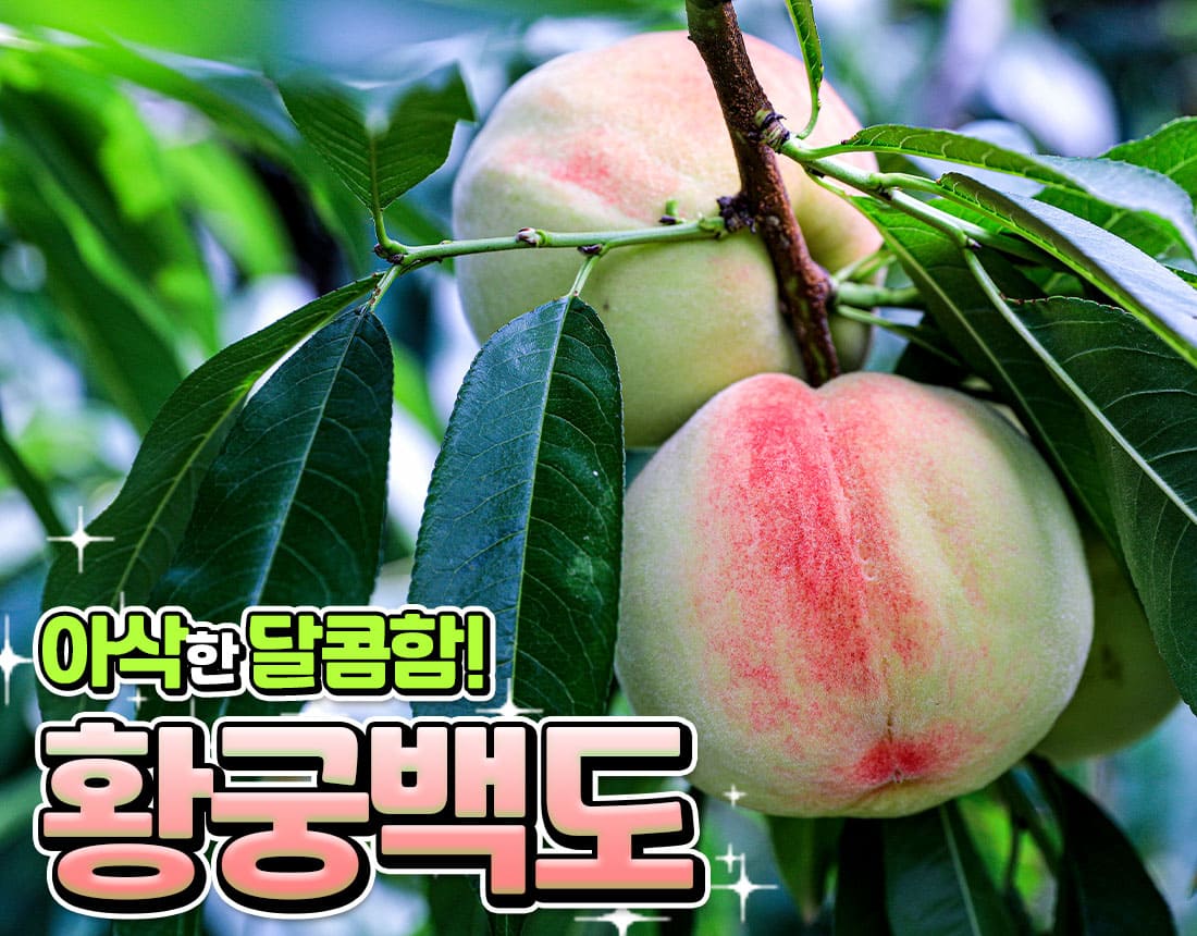 상품정보