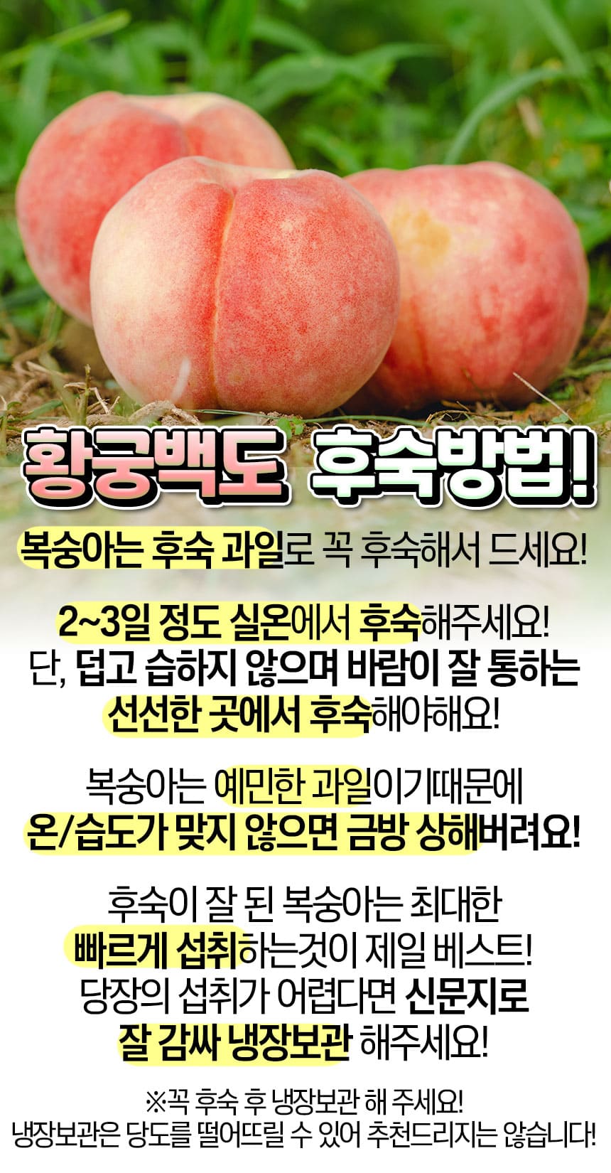 상품정보