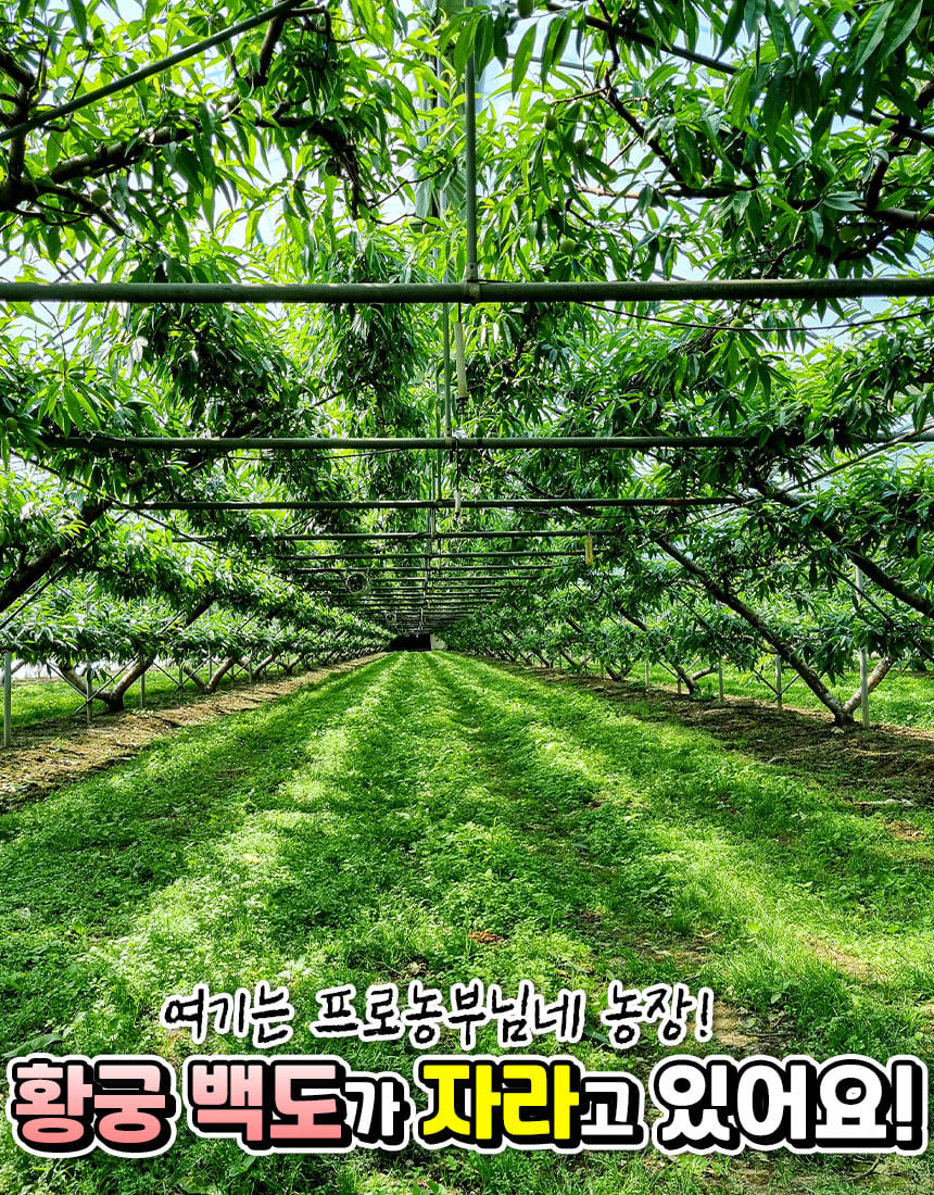 상품정보