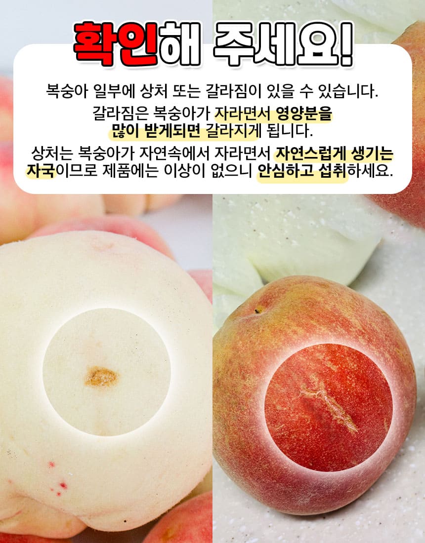 상품정보