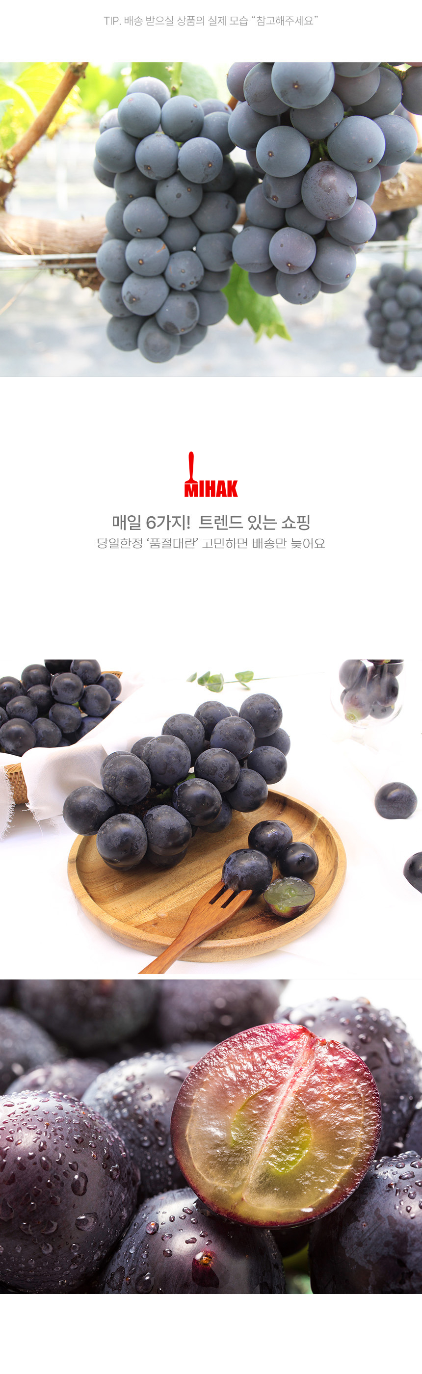 상품정보