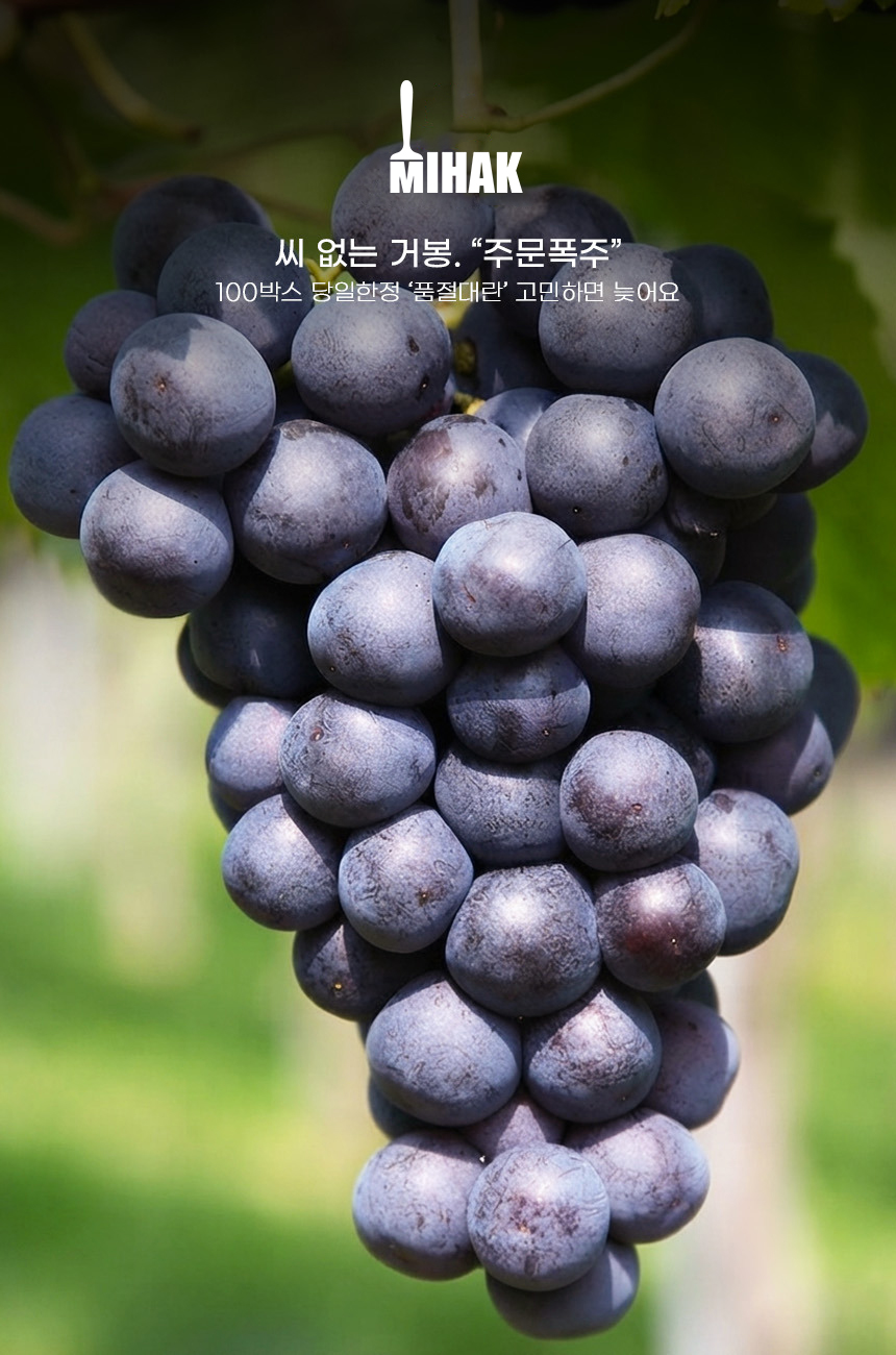 상품정보