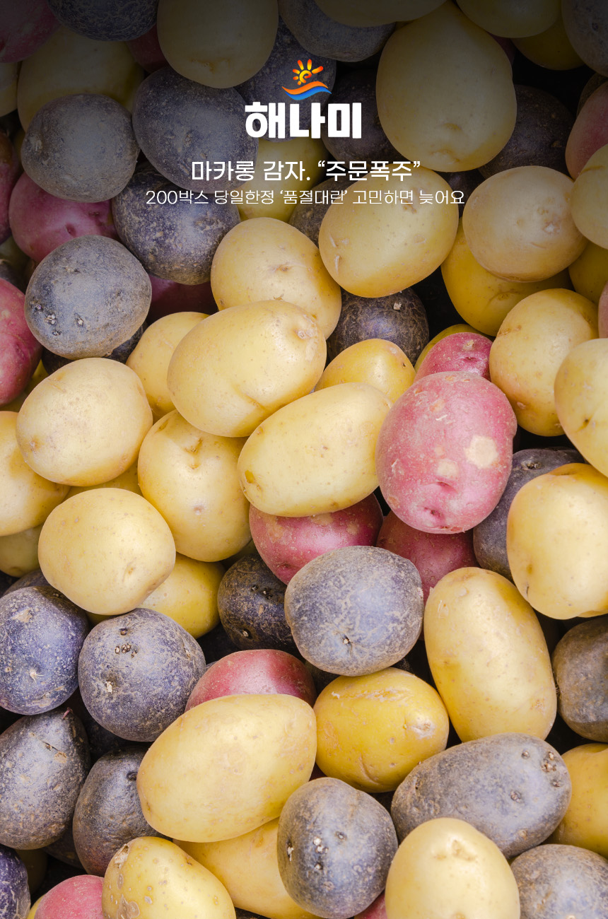 상품정보