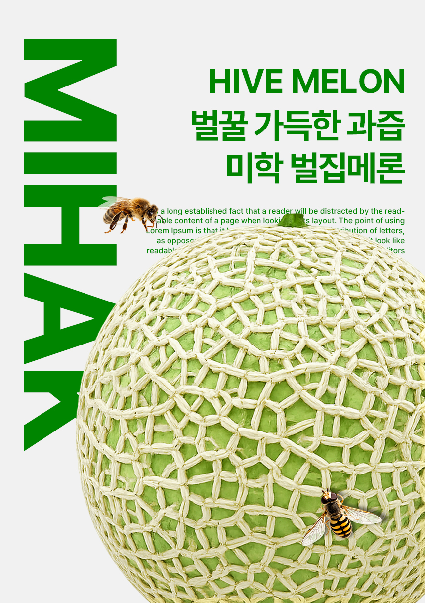 상품정보