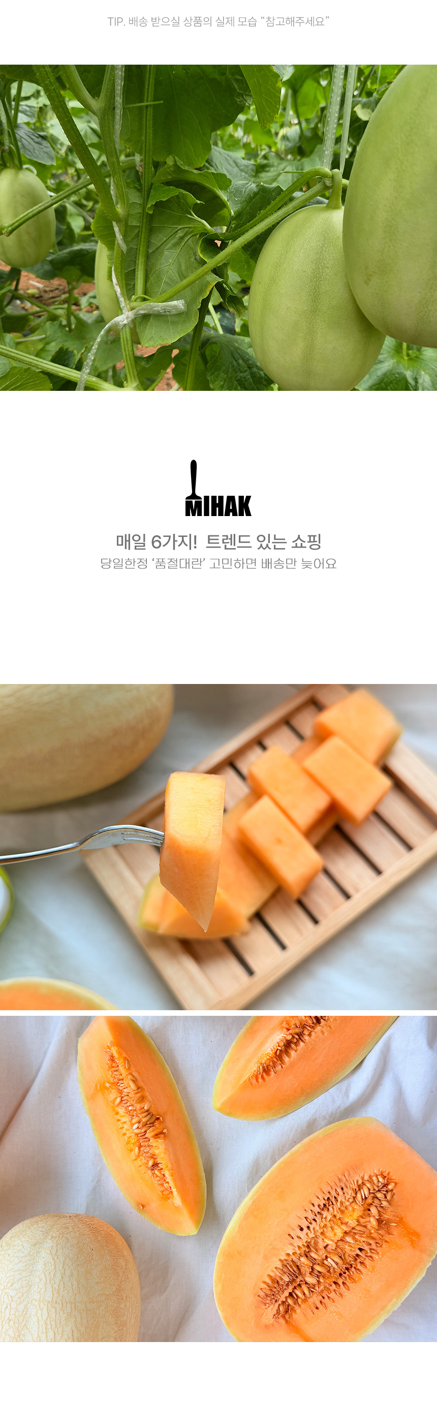 상품정보