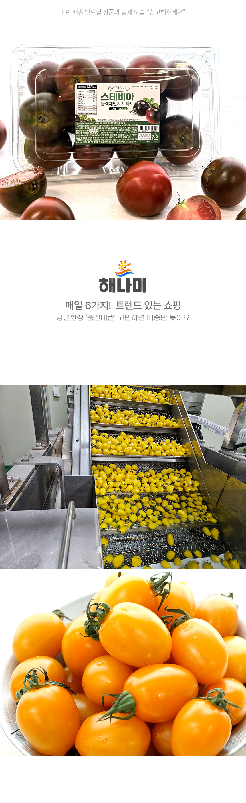 상품정보