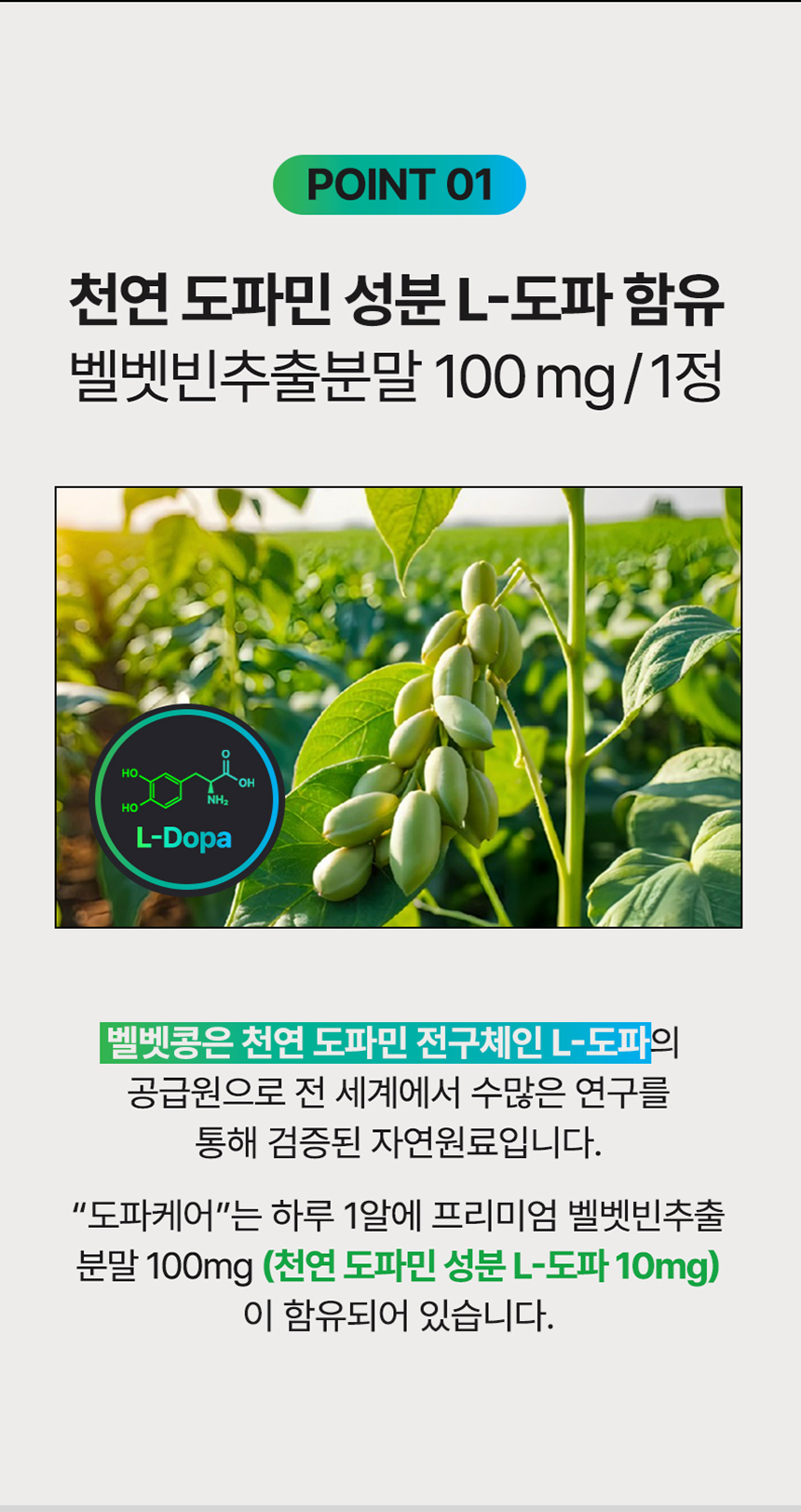 상품정보