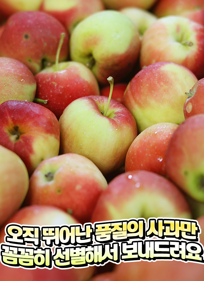 상품정보