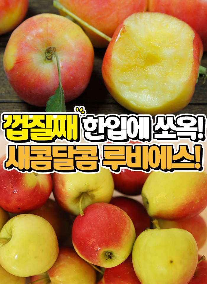상품정보