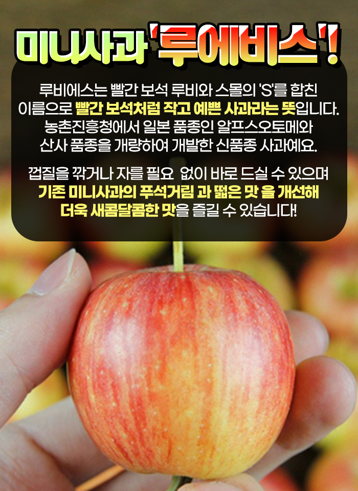 상품정보