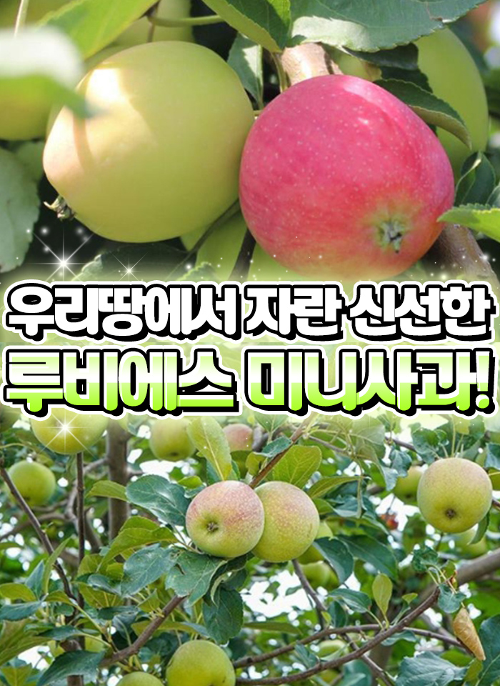 상품정보