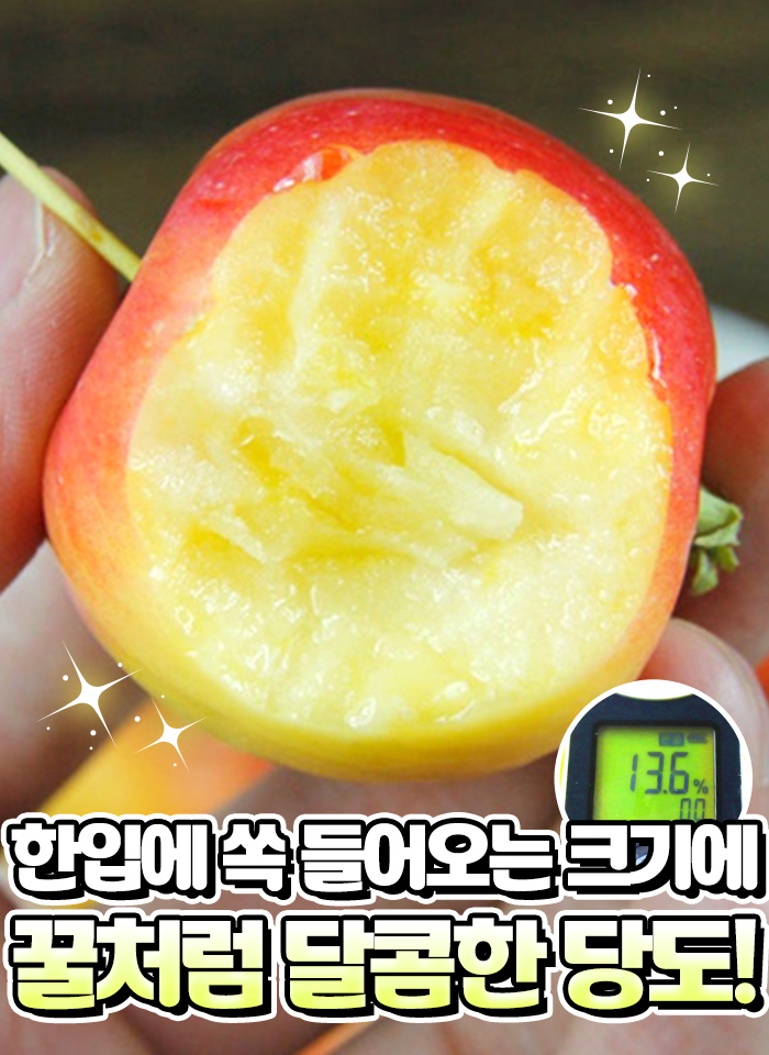 상품정보