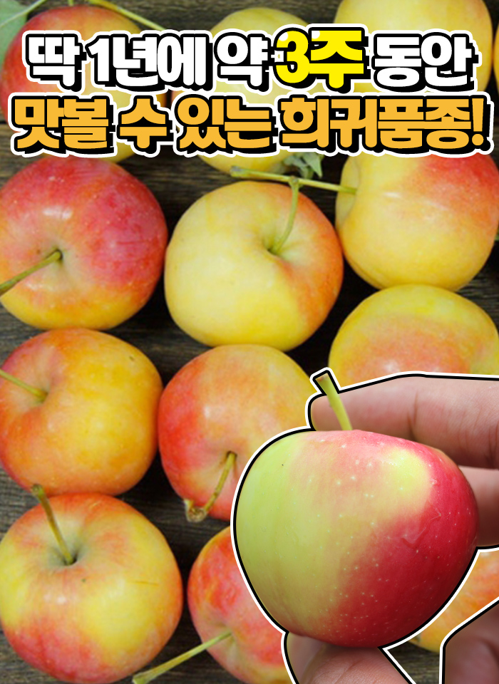 상품정보