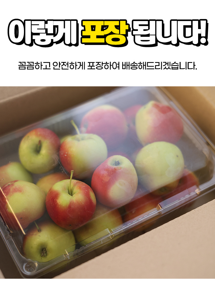 상품정보