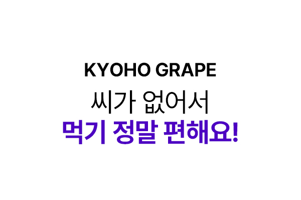 상품정보