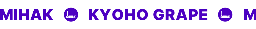 상품정보