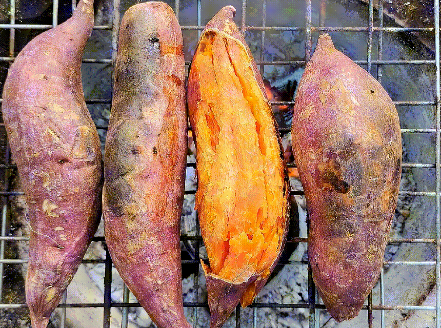 상품정보