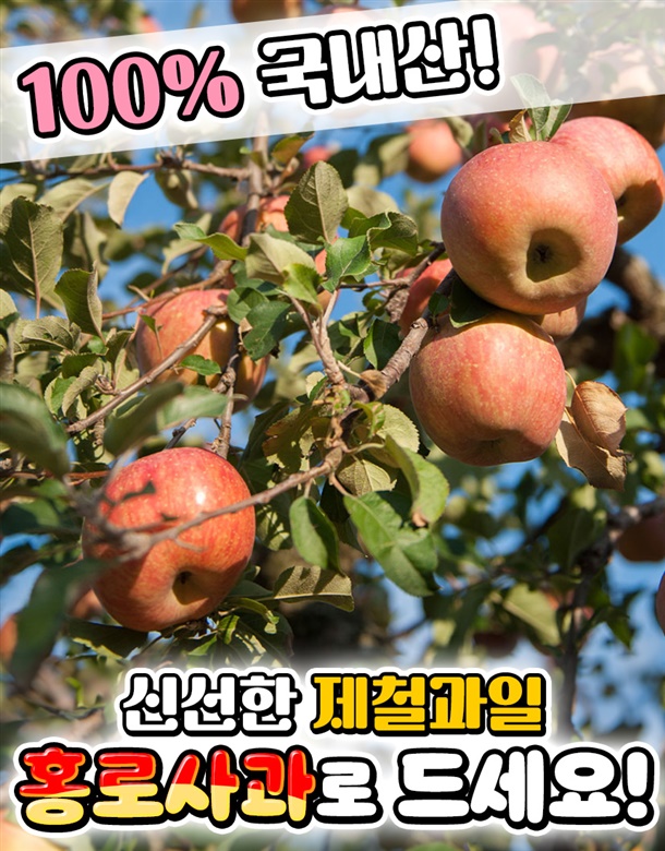 상품정보