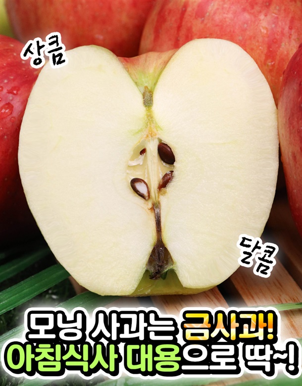 상품정보