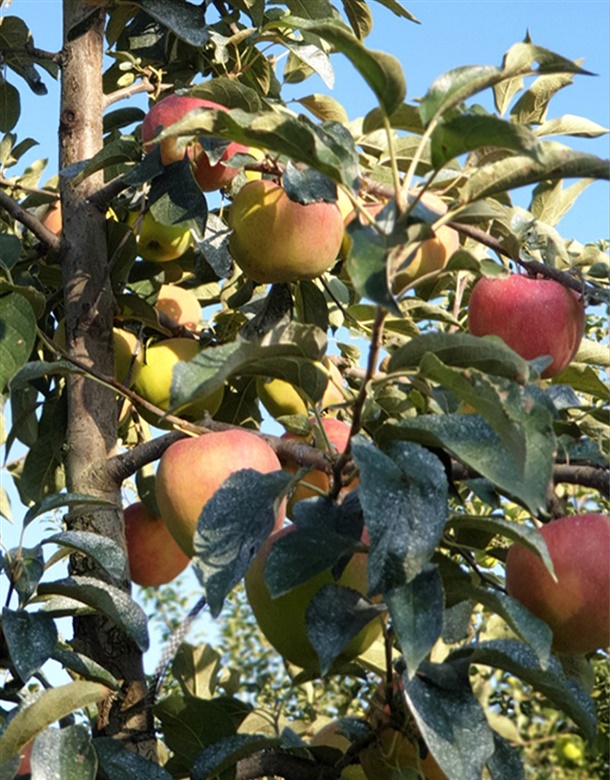 상품정보