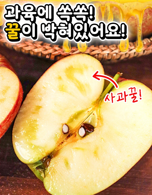 상품정보