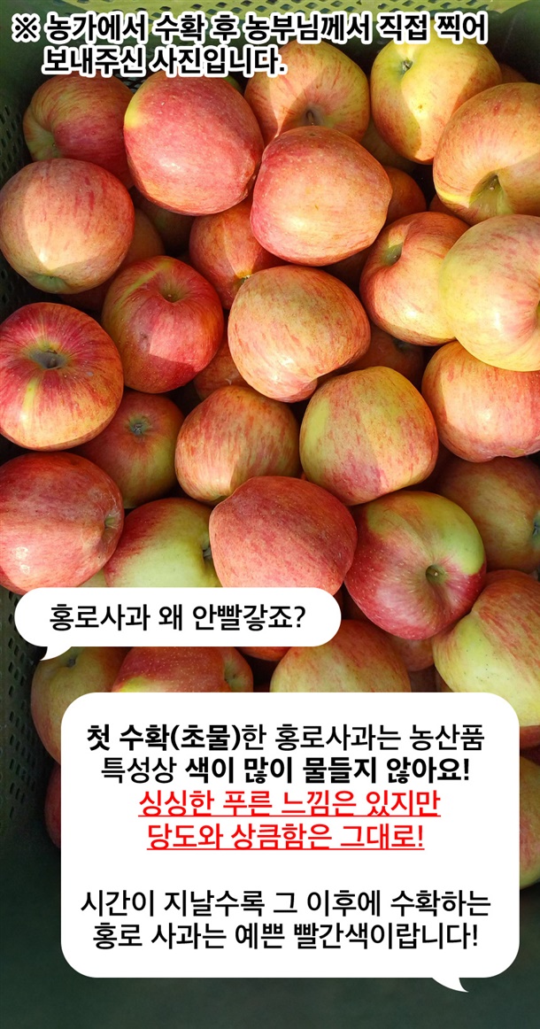 상품정보
