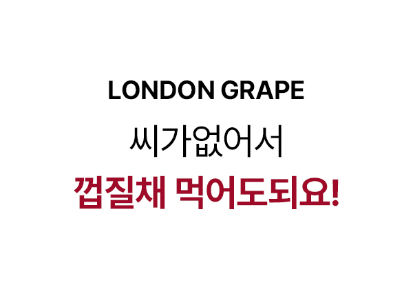 상품정보