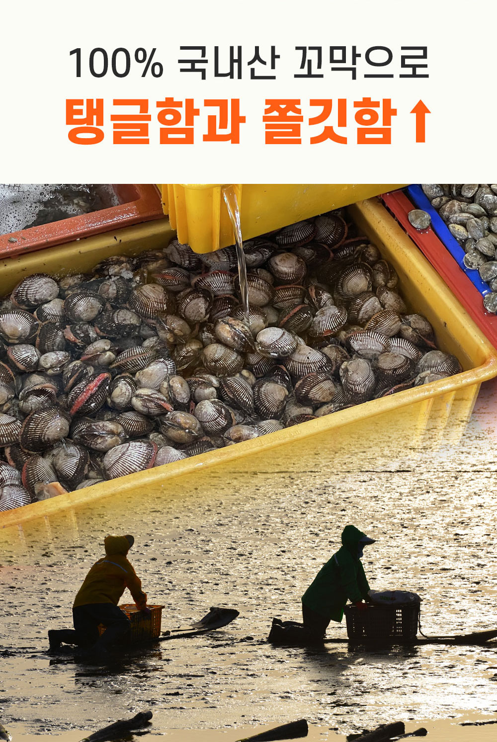 상품정보