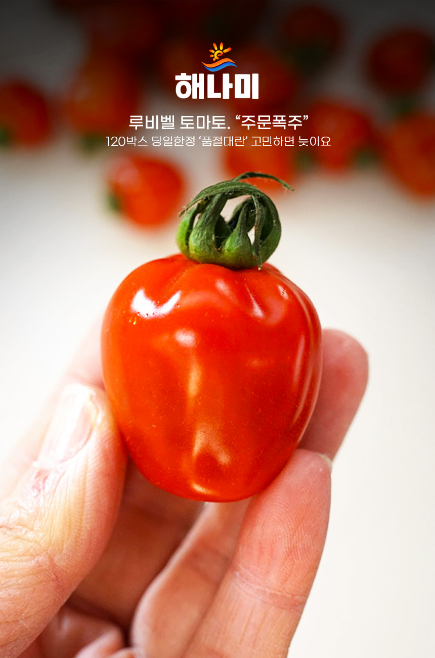 상품정보