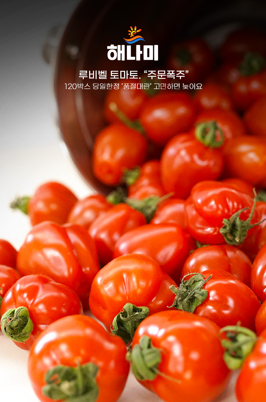 상품정보