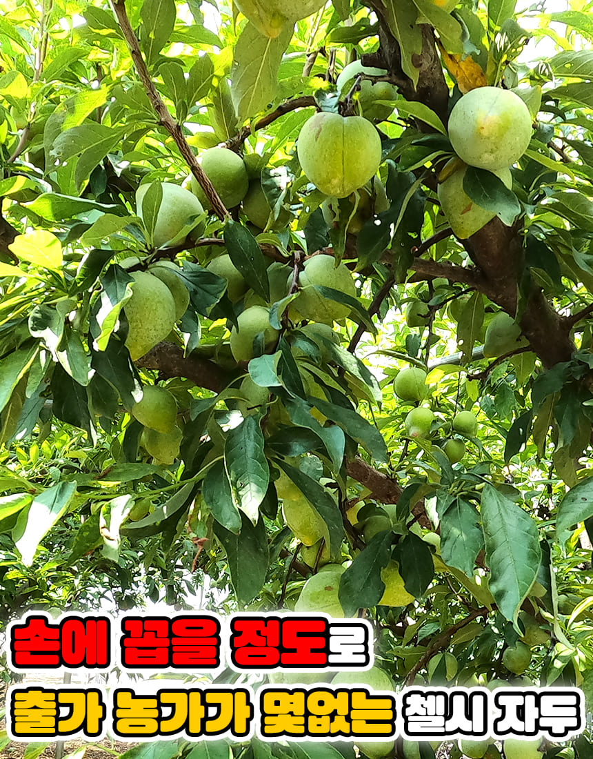 상품정보