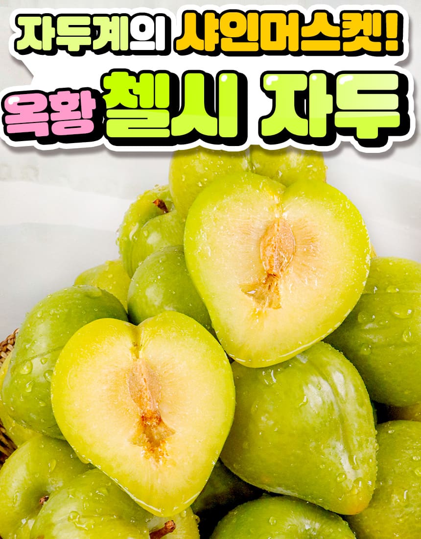 상품정보