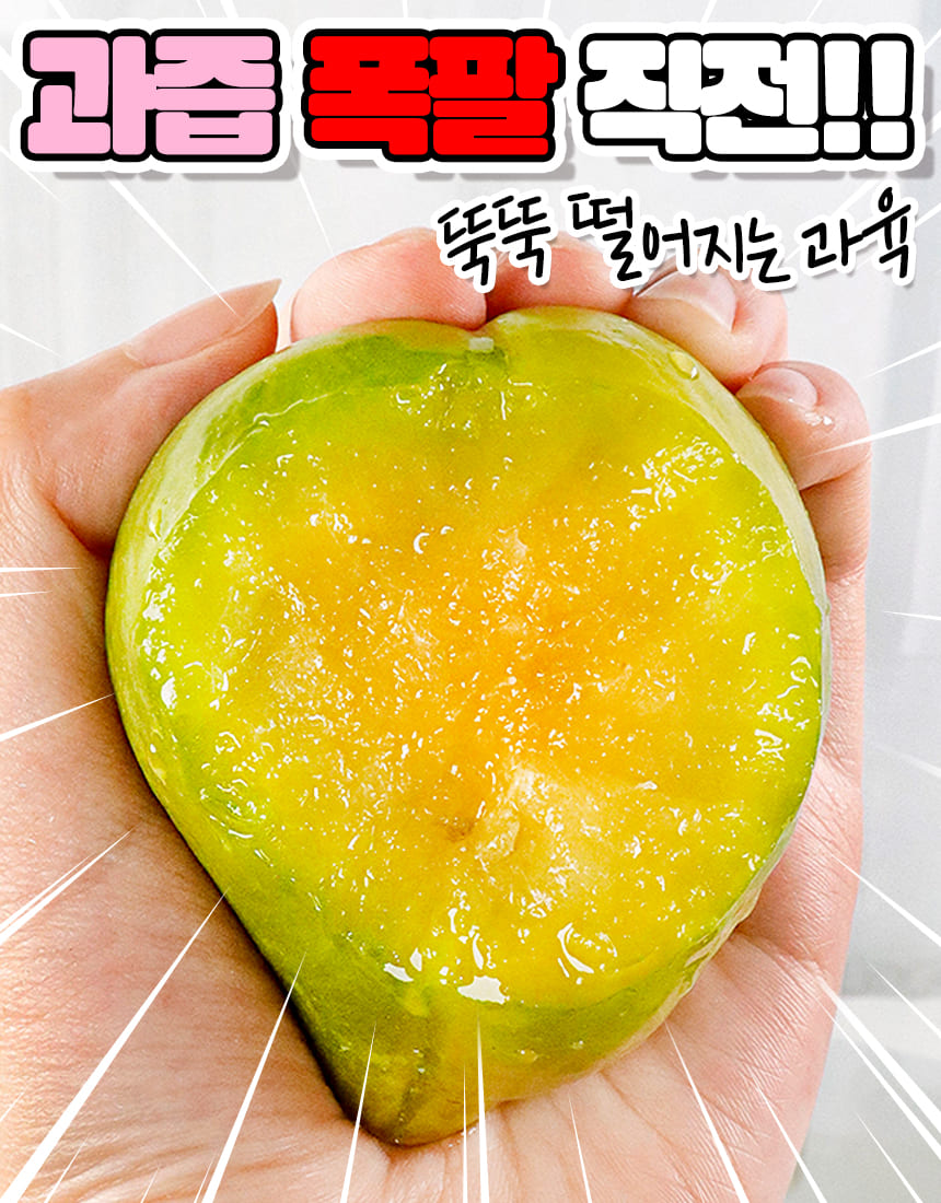 상품정보