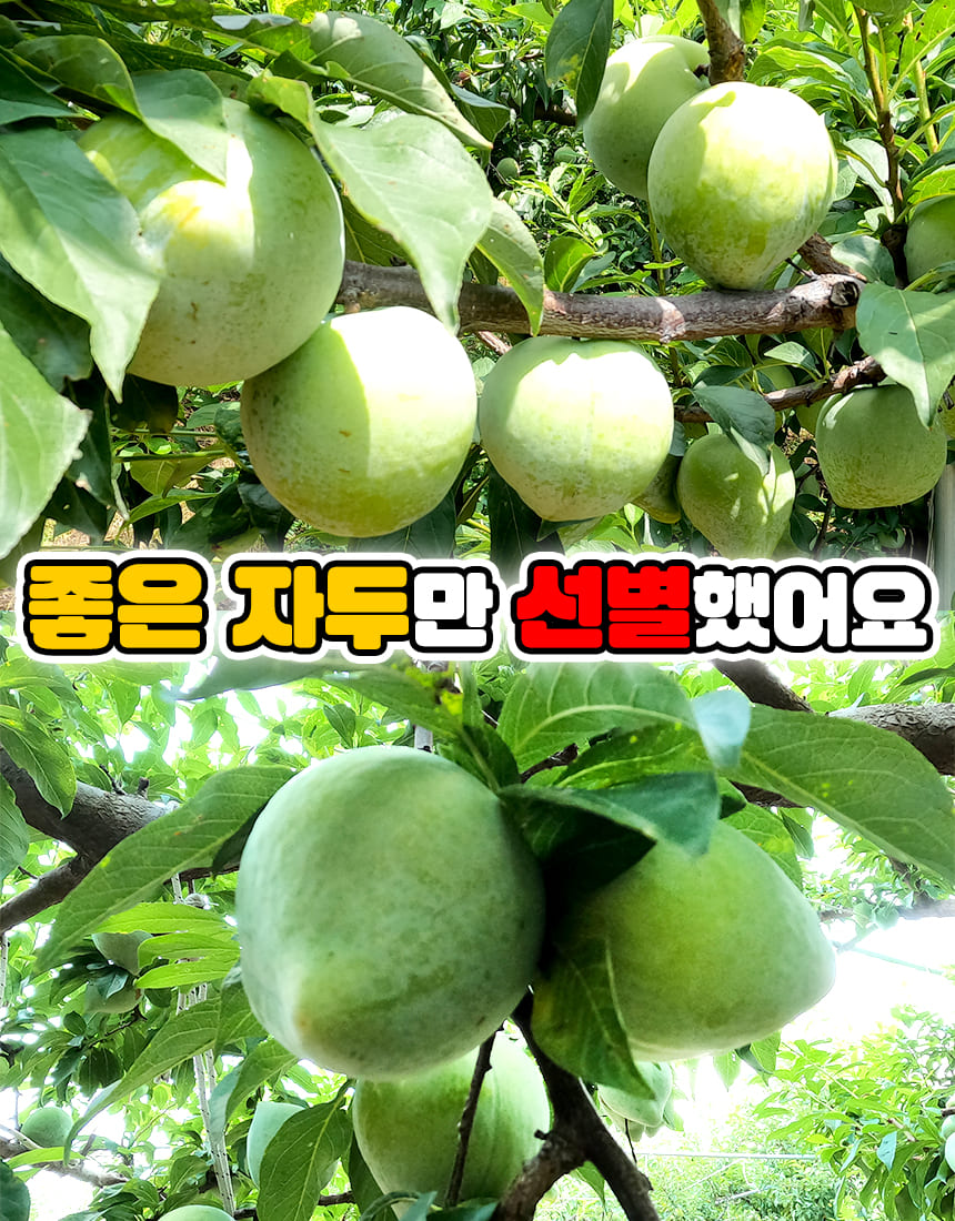 상품정보