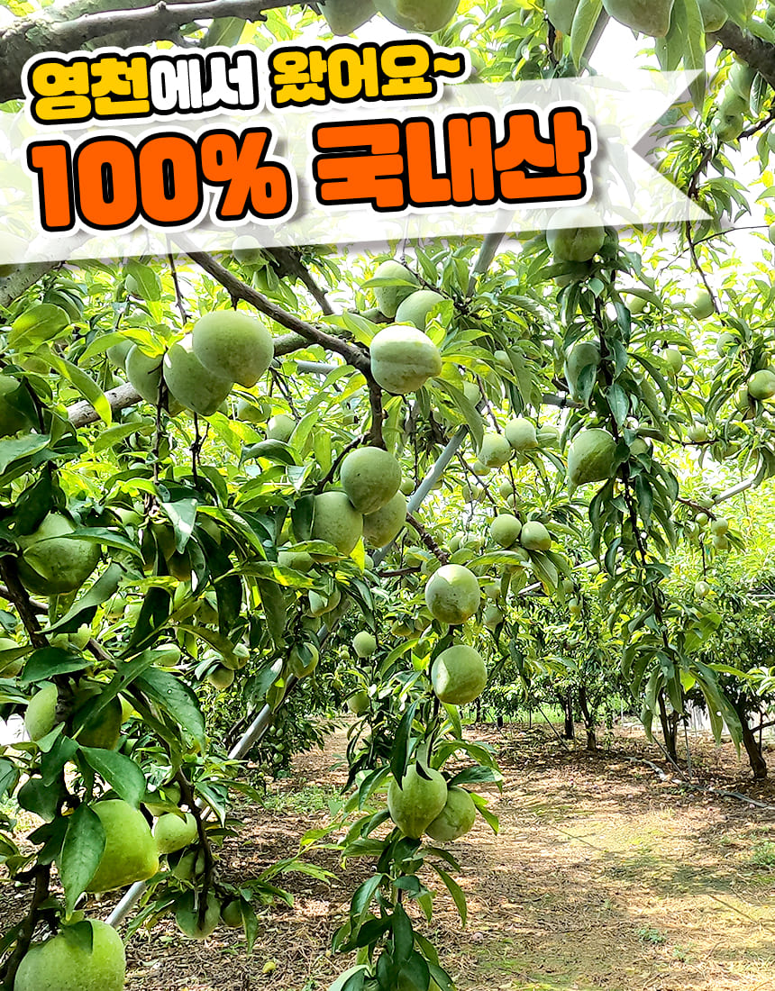 상품정보