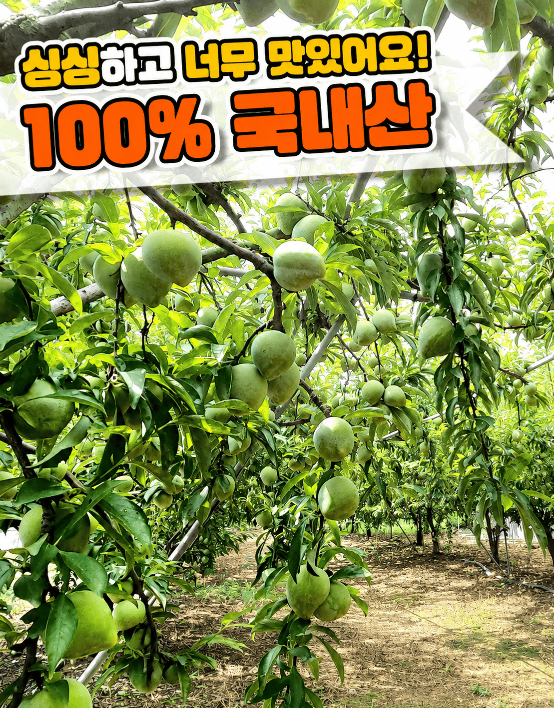 상품정보