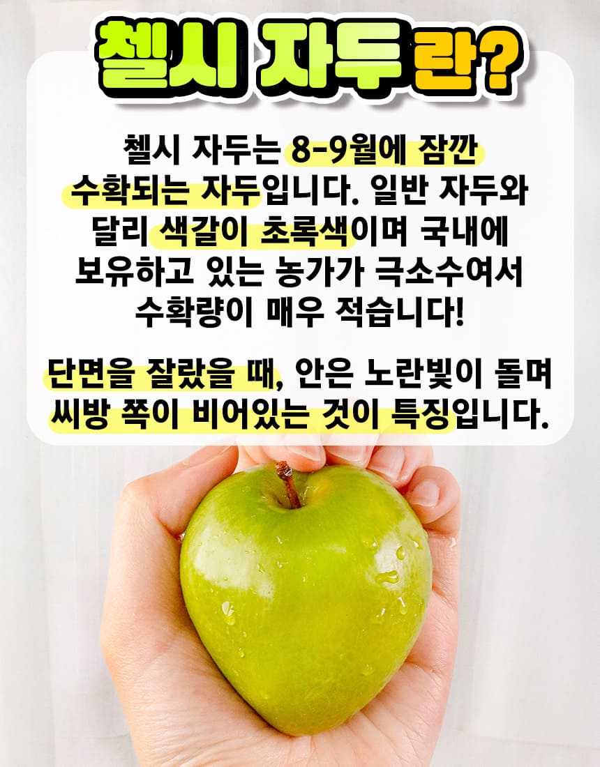 상품정보