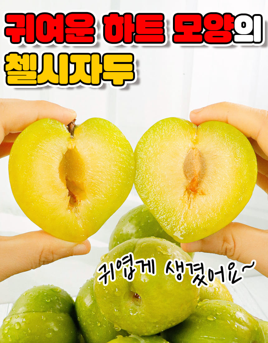 상품정보
