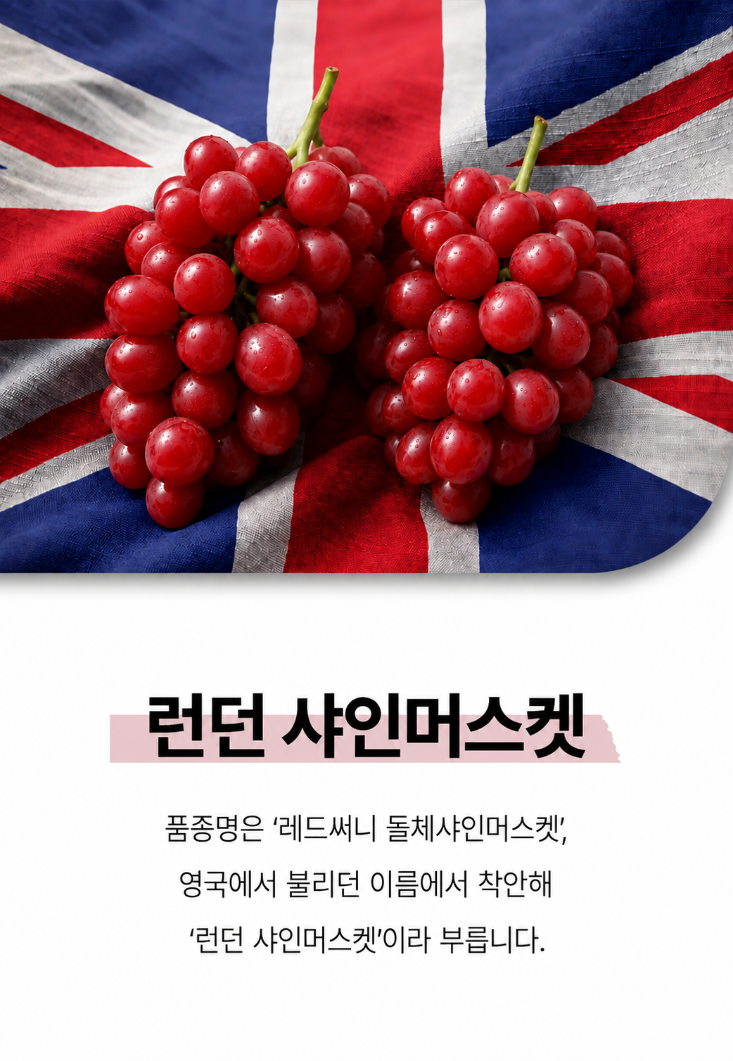 상품정보