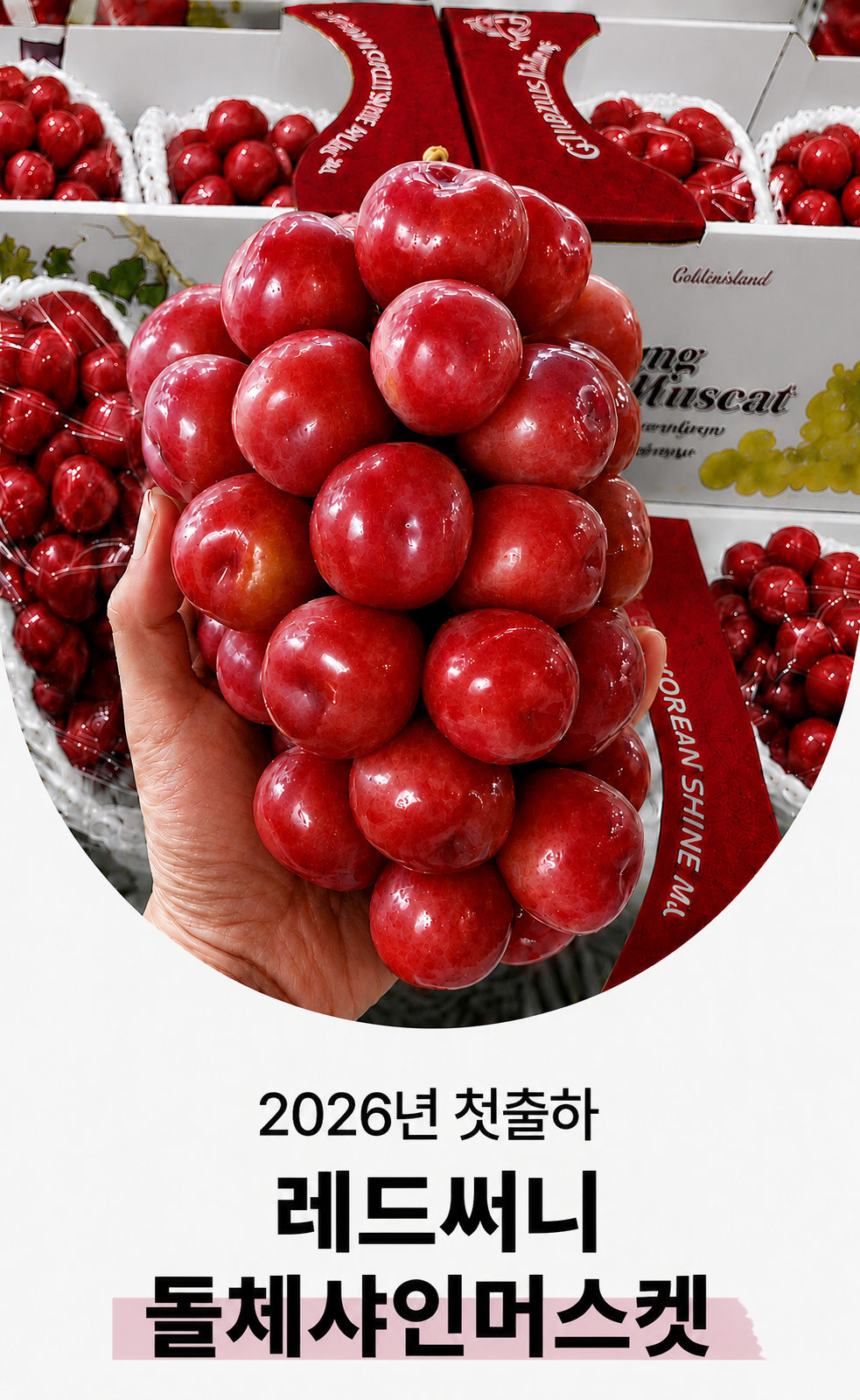 상품정보