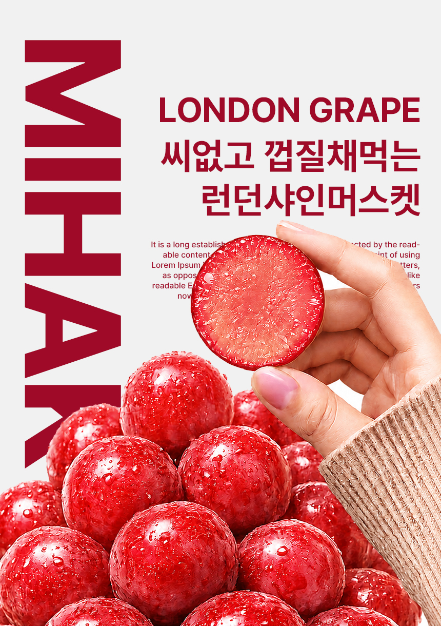 상품정보