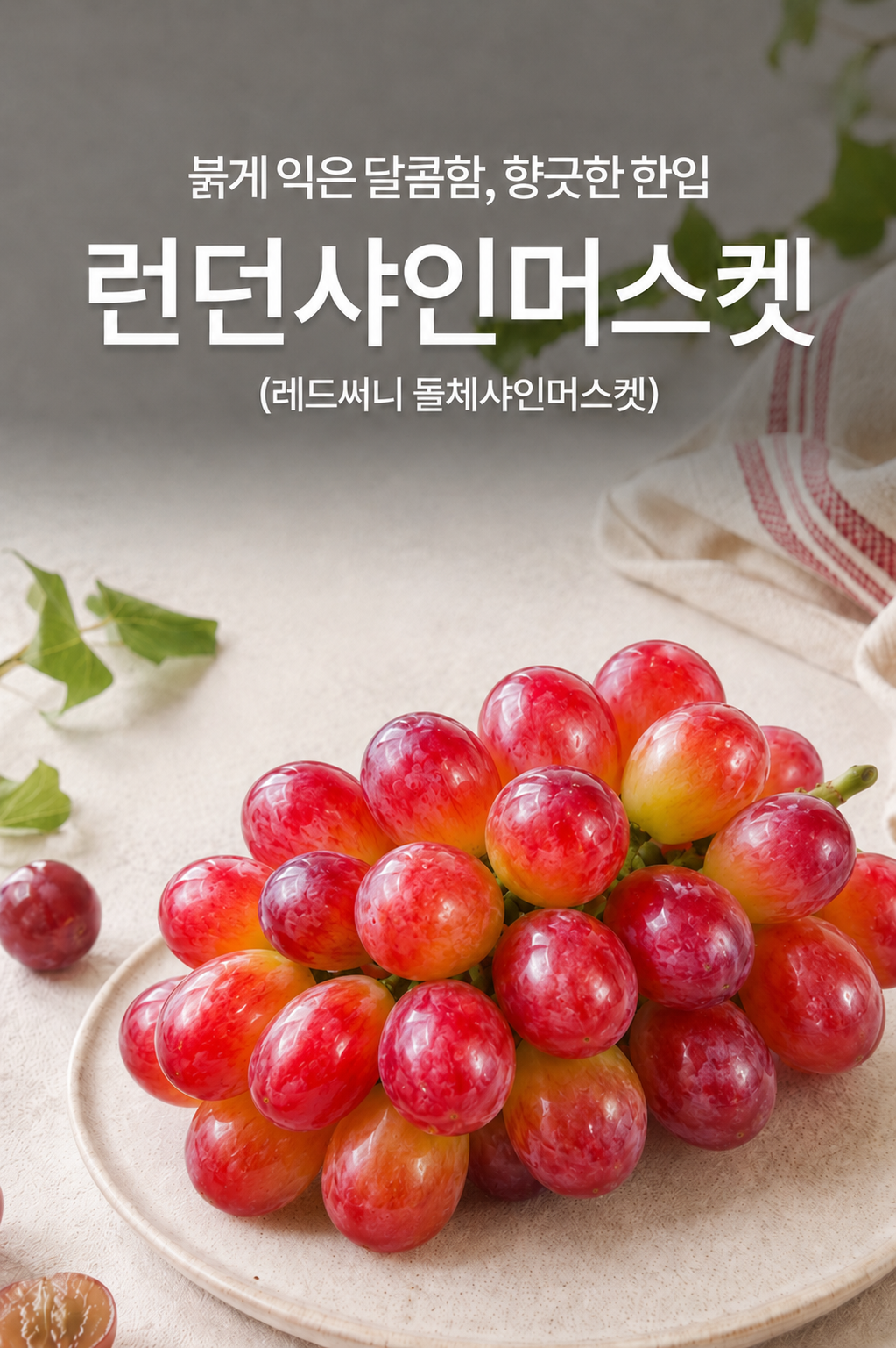 상품정보