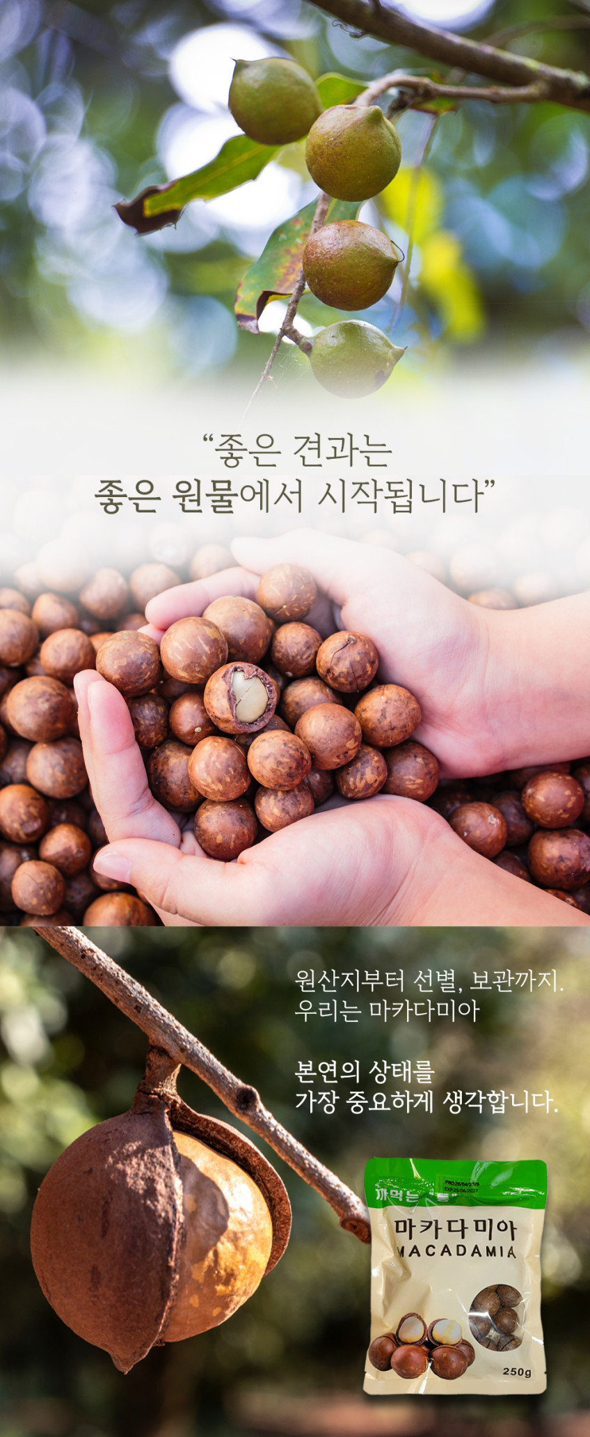 상품정보