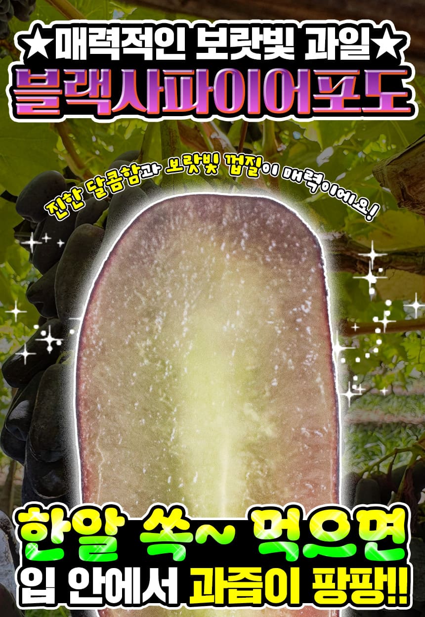 상품정보