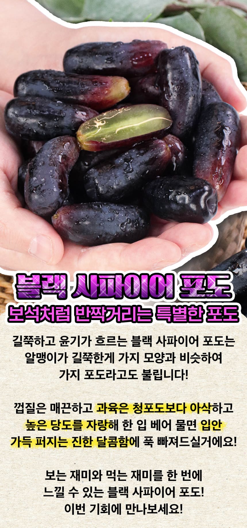 상품정보