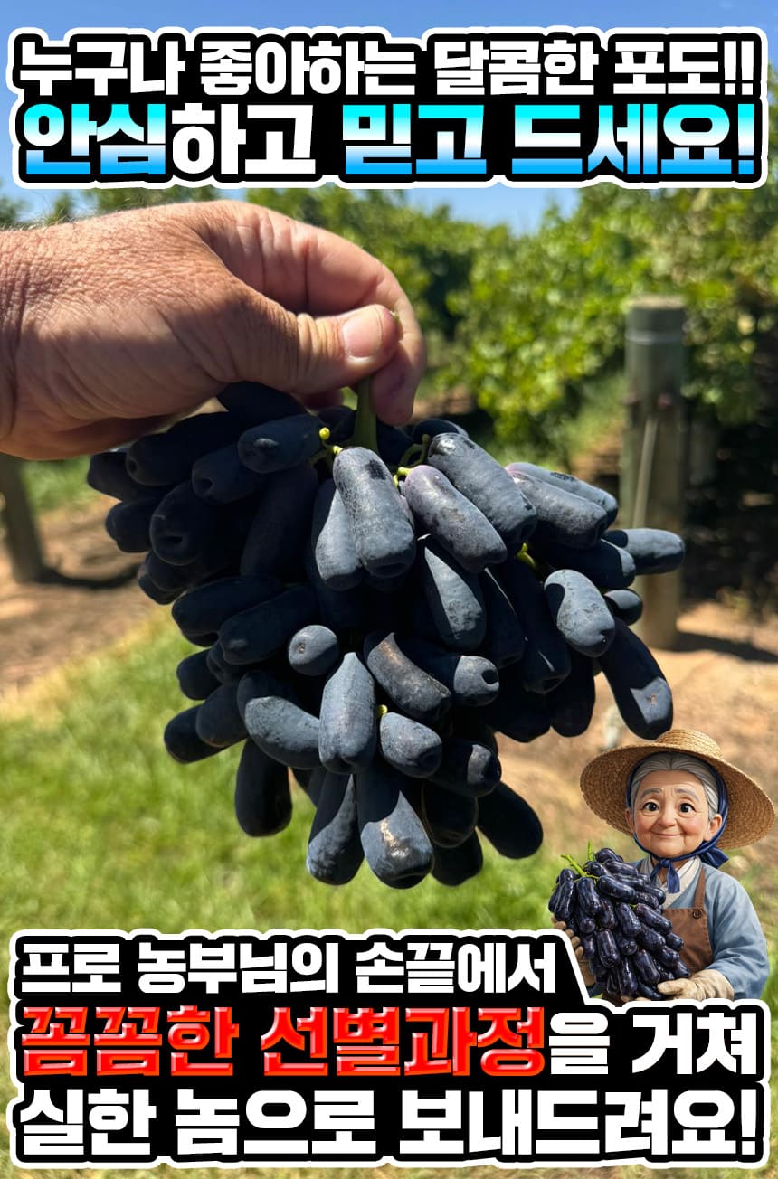 상품정보