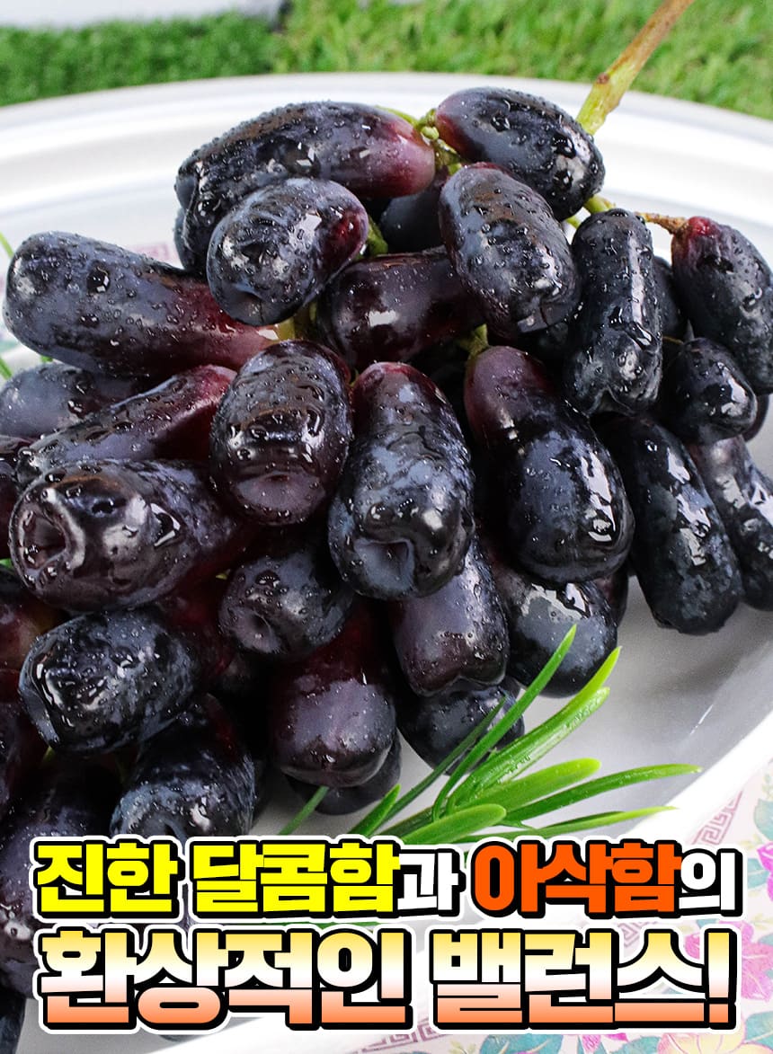상품정보