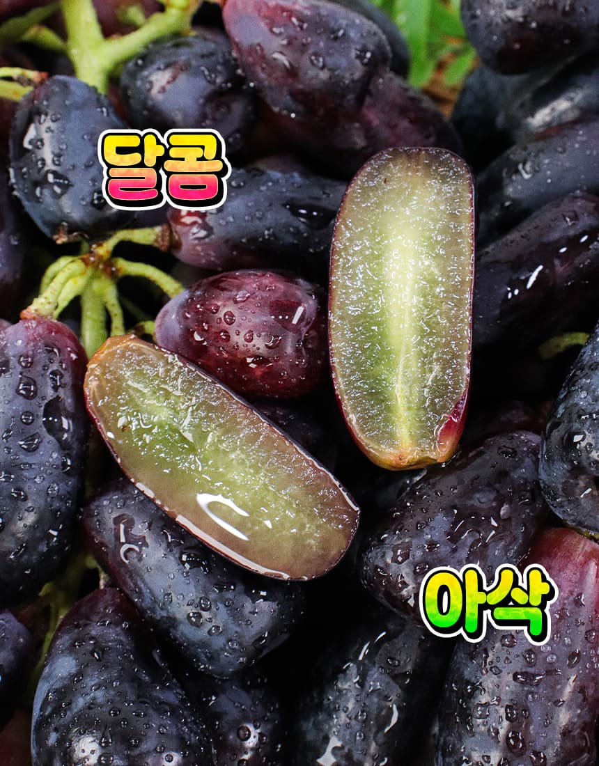 상품정보