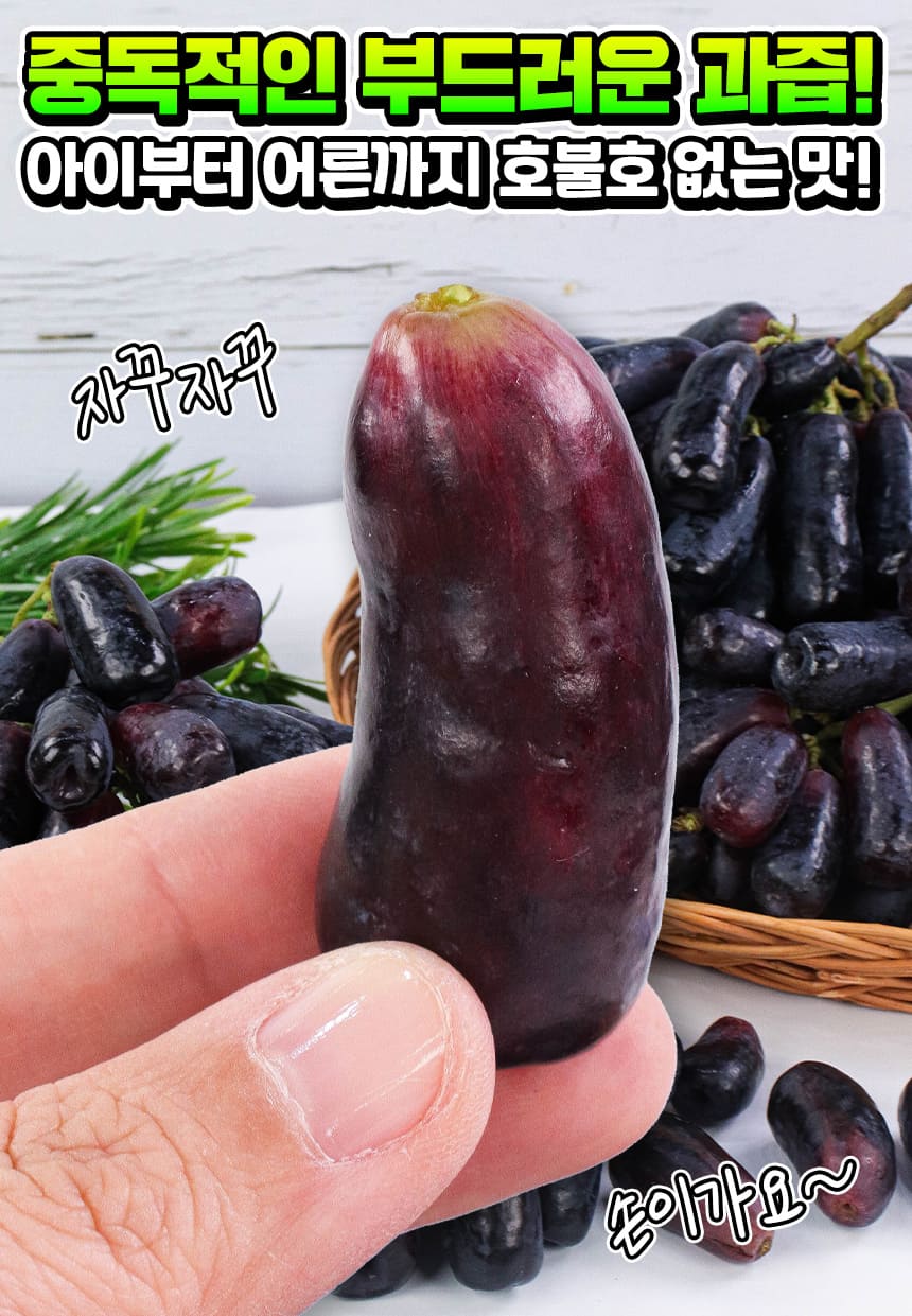 상품정보